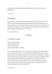 Interneto kriminalistika arba "hakerių gaudymas" 11 puslapis