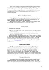 Interneto paieškos sistemos 13 puslapis