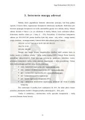 Interneto atsiradimas, galimybės ir internetas Lietuvoje 11 puslapis