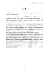 Interneto atsiradimas, galimybės ir internetas Lietuvoje 15 puslapis