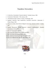 Interneto atsiradimas, galimybės ir internetas Lietuvoje 18 puslapis