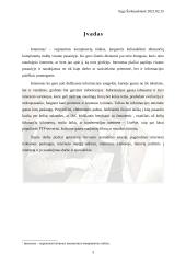 Interneto atsiradimas, galimybės ir internetas Lietuvoje 3 puslapis