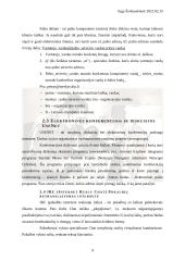 Interneto atsiradimas, galimybės ir internetas Lietuvoje 9 puslapis