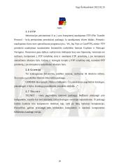 Interneto atsiradimas, galimybės ir internetas Lietuvoje 10 puslapis