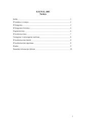 IP - internetinis protokolas 2 puslapis