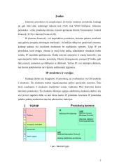 IP - internetinis protokolas 3 puslapis