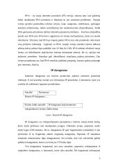 IP - internetinis protokolas 4 puslapis