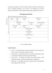 IP - internetinis protokolas 5 puslapis