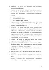 IP - internetinis protokolas 6 puslapis
