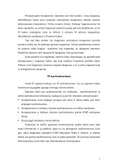 IP - internetinis protokolas 8 puslapis