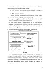IP - internetinis protokolas 10 puslapis
