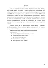 Įvaikinimas. Įvaikinimo teisinės pasekmės 2 puslapis