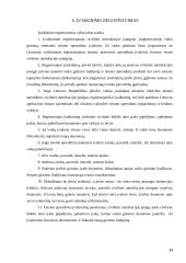 Įvaikinimas. Įvaikinimo teisinės pasekmės 13 puslapis