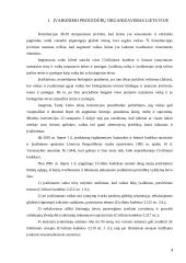 Įvaikinimas. Įvaikinimo teisinės pasekmės 3 puslapis