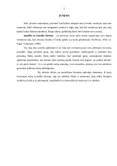 Įvaizdžio arba įspūdžio kūrimas 2 puslapis