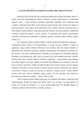 Įvaizdžio arba įspūdžio kūrimas 7 puslapis