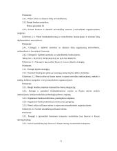 Jonavos savivaldybės strateginis planas 11 puslapis