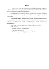 Pagrindiniai juridinių asmenų bruožai 2 puslapis