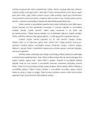 Pagrindiniai juridinių asmenų bruožai 7 puslapis