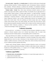Kaip sukurti komandą? 8 puslapis