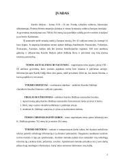 Karolis Didysis. Karolio Didžiojo charakterio bruožai 2 puslapis