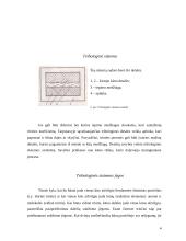 Kietųjų kūnų vidinės trinties nustatymas laisvųjų svyravimų metodu 3 puslapis