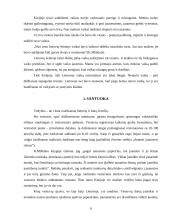 Kinijos šeimos modelių įvairovė 6 puslapis