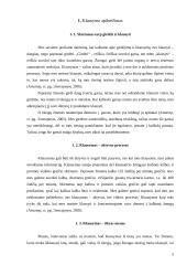 Klausimo menas ir jo tobulinimo galimybės 5 puslapis