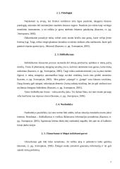 Klausimo menas ir jo tobulinimo galimybės 7 puslapis