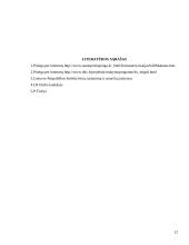 Kolektyvinės sutarties samprata ir reikšmė, kolektyvinės sutarties rūšys, šalys, taikymas, galiojimas 11 puslapis