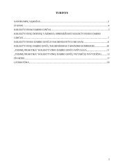 Kolektyvinių darbo ginčų nagrinėjimas taikinimo komisijoje 2 puslapis