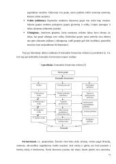 Komandos organizacijoje 14 puslapis