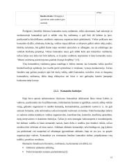 Komandos organizacijoje 19 puslapis