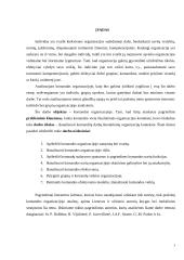 Komandos organizacijoje 3 puslapis