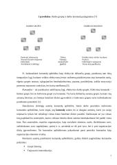 Komandos organizacijoje 5 puslapis