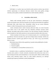 Komandos organizacijoje 6 puslapis