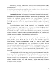 Komandos organizacijoje 9 puslapis