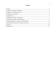 Komiso sutartis 2 puslapis