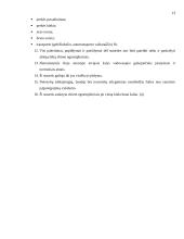 Komiso sutartis 13 puslapis