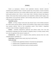 Komiso sutartis 3 puslapis