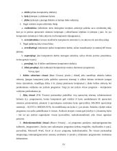 Bendra informacija apie kompiuterių virusus 4 puslapis