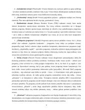 Bendra informacija apie kompiuterių virusus 5 puslapis