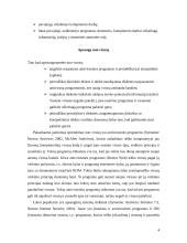 Trumpai apie kompiuterių virusus 4 puslapis