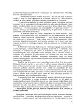 Kas tai yra konfliktas?  4 puslapis