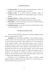 Konfliktai ir jų sprendimas 3 puslapis