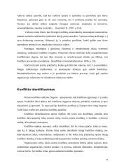 Konflikto valdymas organizacijoje 8 puslapis