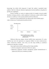 Konfliktas. Konfliktų valdymas 4 puslapis
