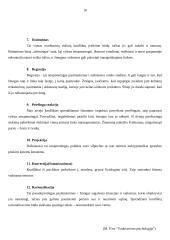 Konfliktų priežastys bei sprendimo būdai 11 puslapis