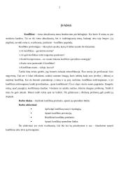 Konfliktų priežastys bei sprendimo būdai 3 puslapis