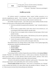 Konfliktų priežastys bei sprendimo būdai 6 puslapis